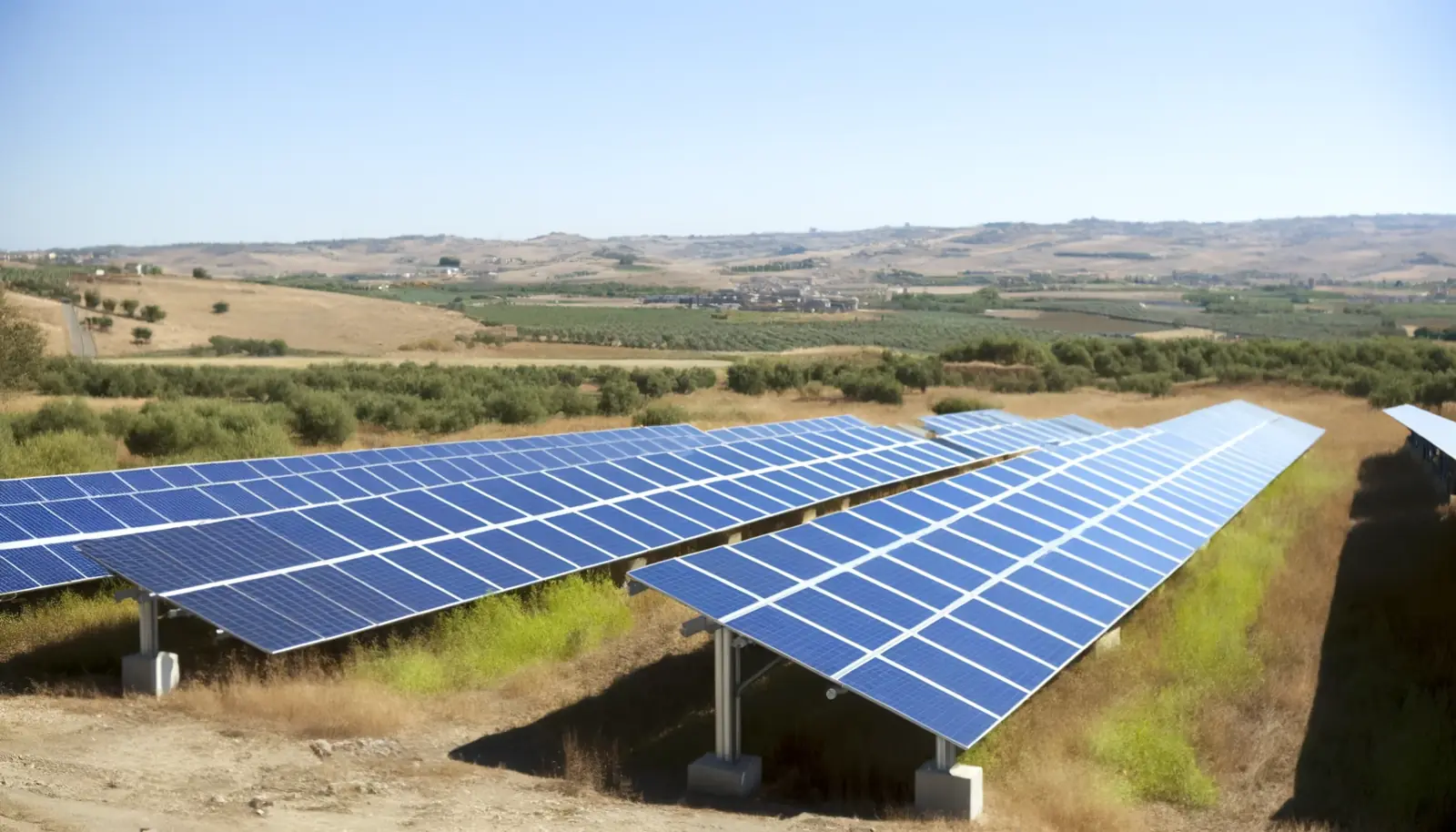 Affitto terreno per fotovoltaico: impianto a terra in campagna